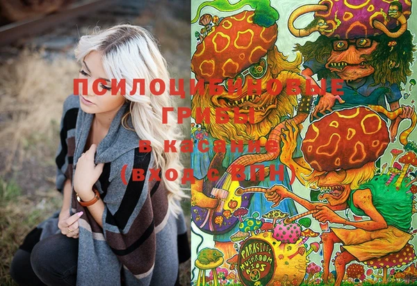 гидропоника Абдулино