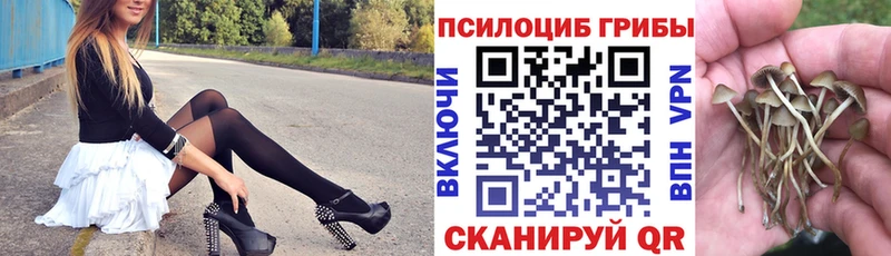 Галлюциногенные грибы Psilocybine cubensis  Серафимович 